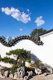 《As One We Survive》steam页面上线 俯视角末日生存